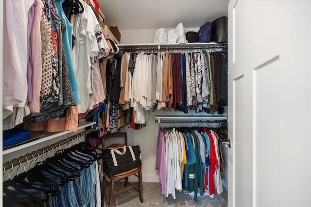 spacious closet featuring carpet flooring