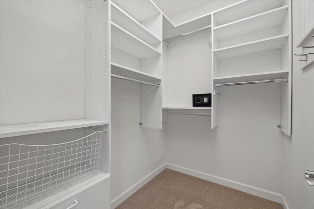 walk in closet featuring carpet floors