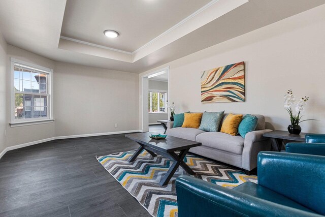 living room with dark wood-type flooring, ornamental molding, and a raised ceiling