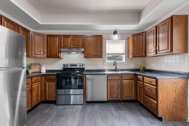 kitchen featuring appliances with stainless steel finishes, tasteful backsplash, sink, a raised ceiling, and dark hardwood / wood-style flooring