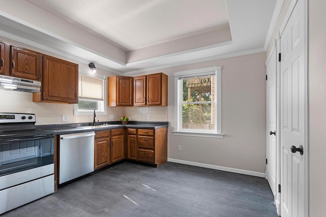 kitchen with a tray ceiling, sink, appliances with stainless steel finishes, and a healthy amount of sunlight