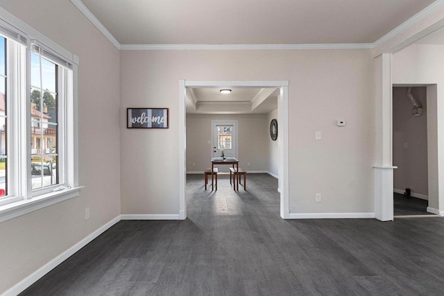 spare room featuring a tray ceiling, dark hardwood / wood-style floors, and ornamental molding