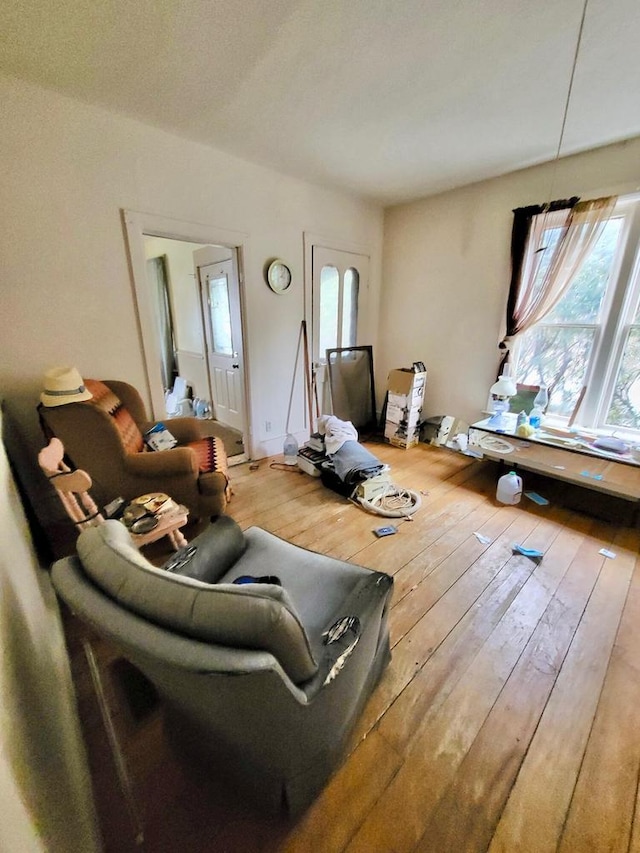 living room featuring wood-type flooring and a healthy amount of sunlight