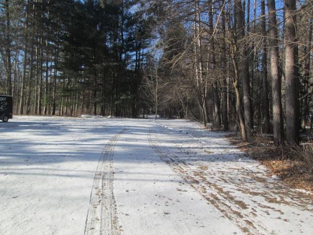 view of yard layered in snow