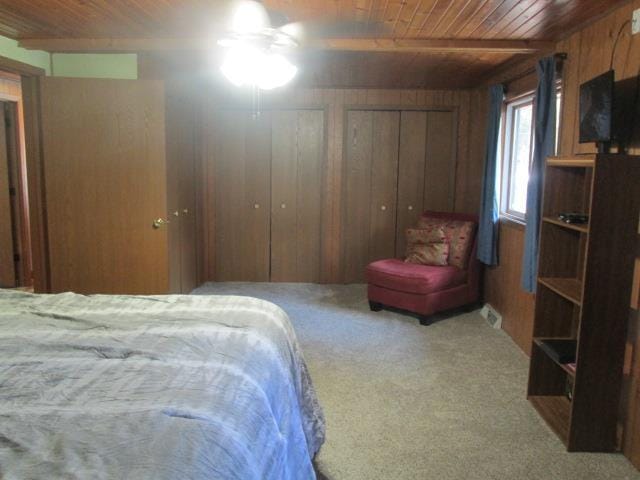 bedroom with two closets, carpet floors, and wood walls