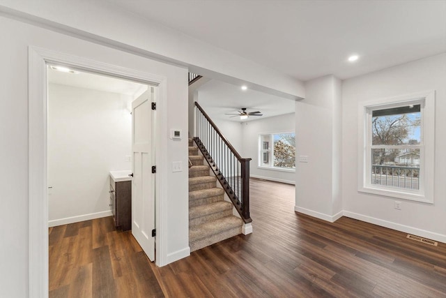 stairway featuring hardwood / wood-style floors