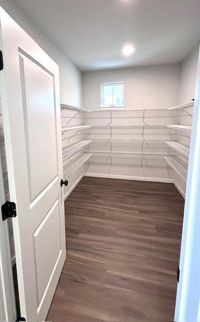 walk in closet with dark wood-type flooring