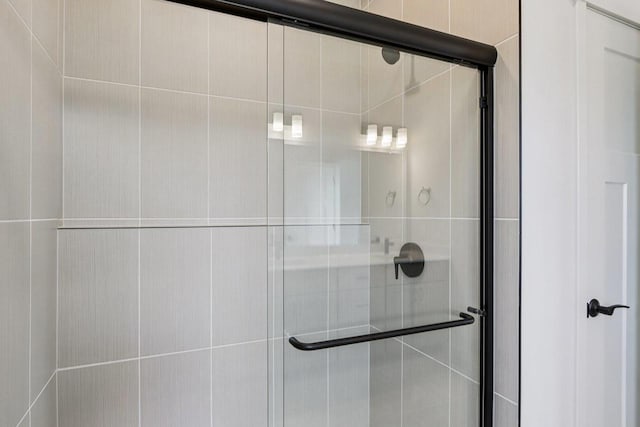 6635 Royal View Dr, Deforest, WI 53532 - bathroom featuring a shower stall