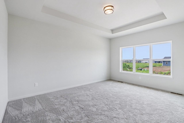 6635 Royal View Dr, Deforest, WI 53532 - unfurnished room with a tray ceiling, carpet flooring, and baseboards