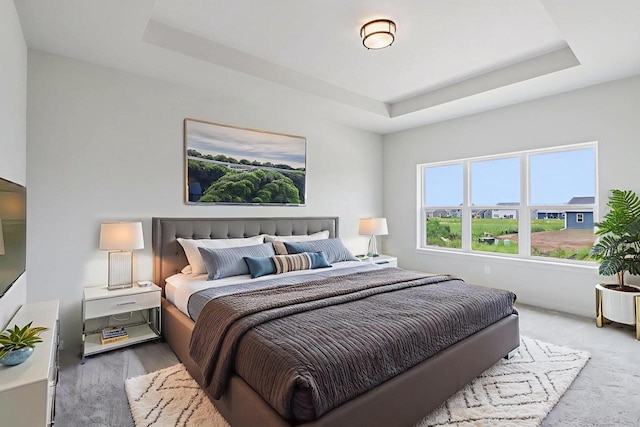 6635 Royal View Dr, Deforest, WI 53532 - bedroom featuring a tray ceiling