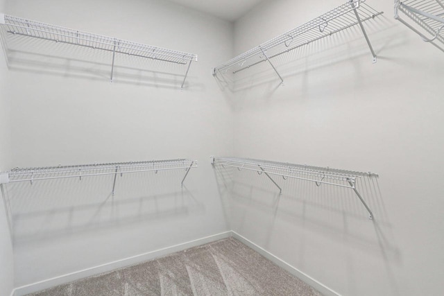 6635 Royal View Dr, Deforest, WI 53532 - spacious closet featuring carpet flooring