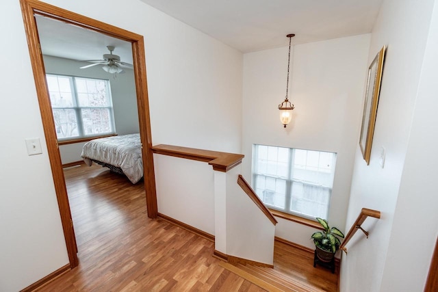 stairway with wood-type flooring and plenty of natural light