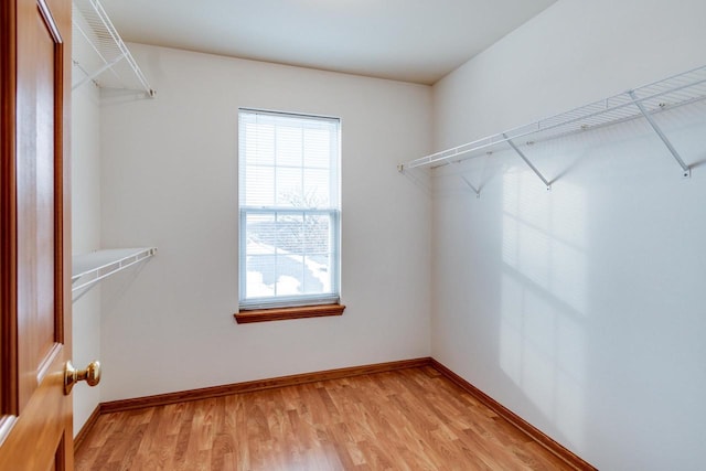 walk in closet featuring light wood-type flooring