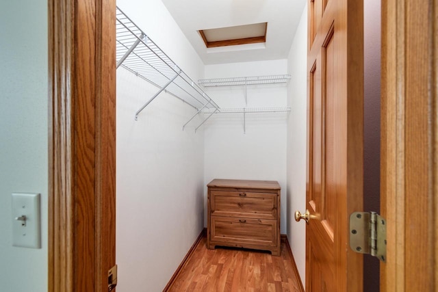 spacious closet featuring light hardwood / wood-style flooring