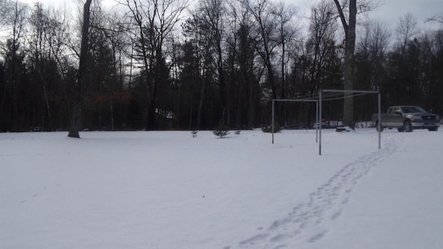 view of snowy yard