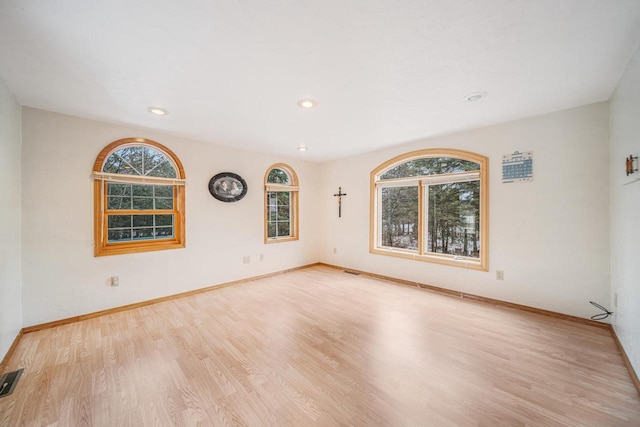 spare room featuring light wood-type flooring and a healthy amount of sunlight