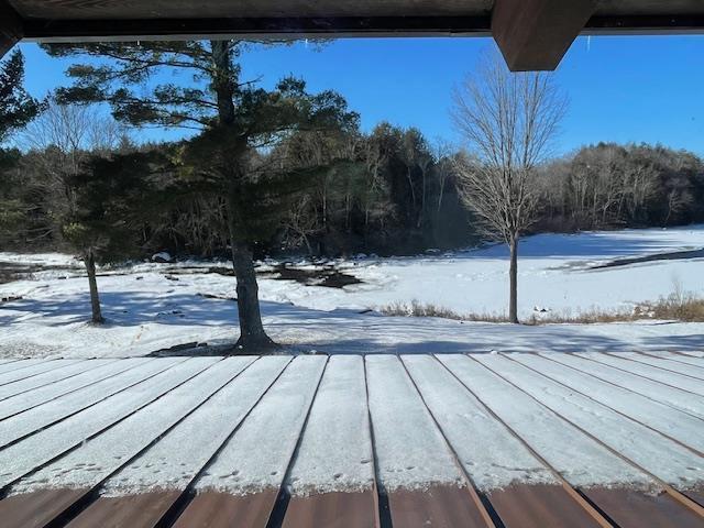 view of yard covered in snow