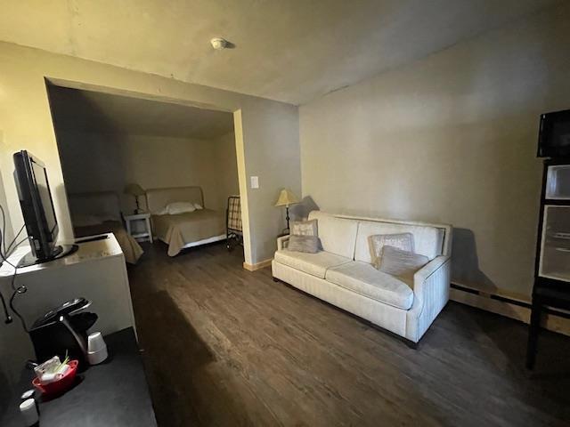 living room featuring a baseboard heating unit and dark wood-type flooring