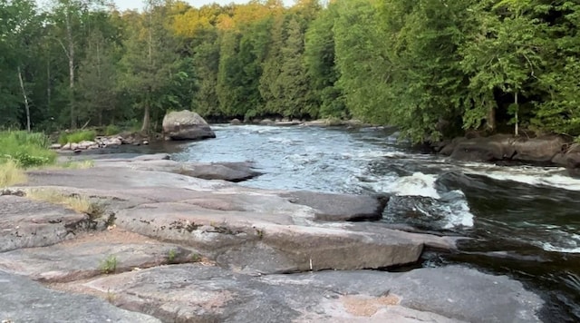 view of local wilderness