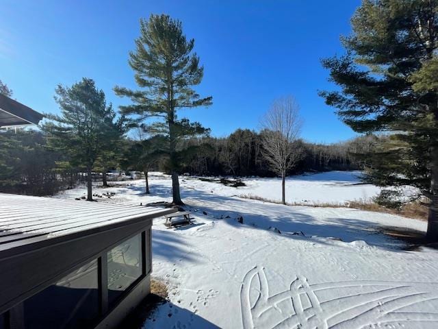 view of yard covered in snow