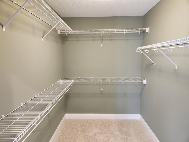 spacious closet featuring carpet