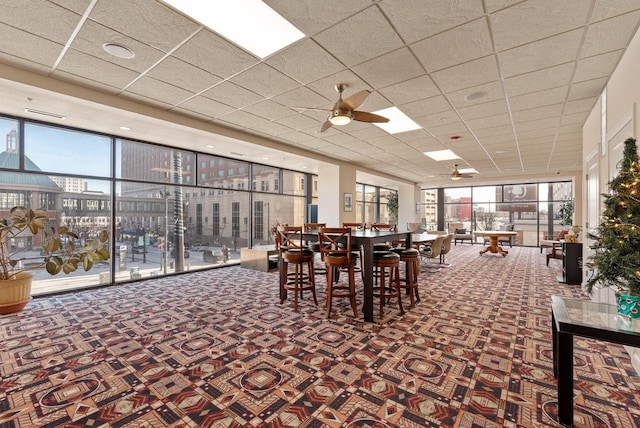 carpeted dining room with ceiling fan, a paneled ceiling, and a wall of windows