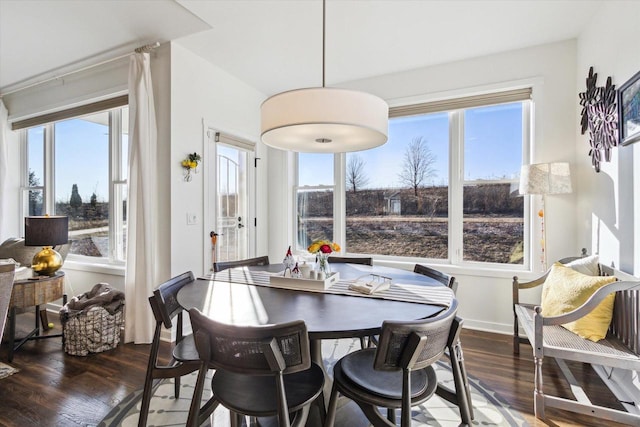 dining room with plenty of natural light and dark hardwood / wood-style floors