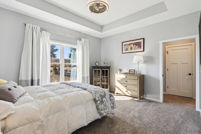 carpeted bedroom featuring a raised ceiling