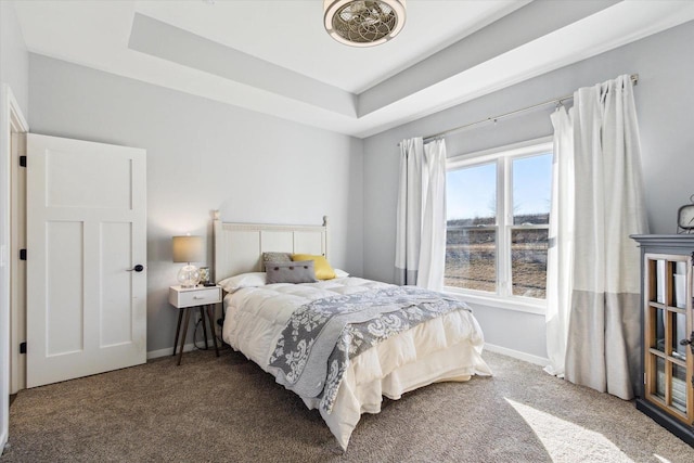 bedroom featuring carpet flooring and a tray ceiling