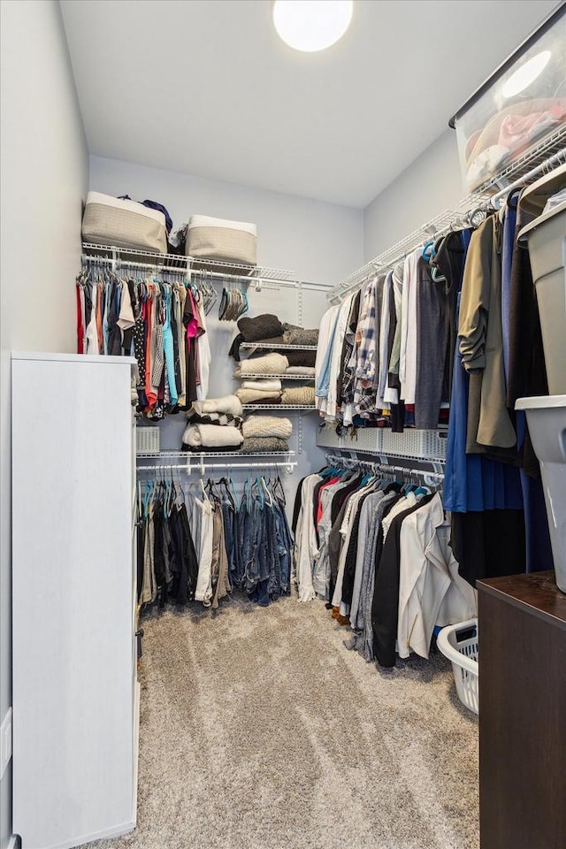 spacious closet featuring light colored carpet