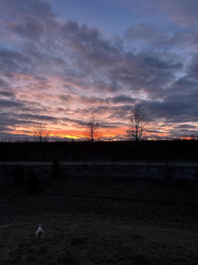 view of yard at dusk