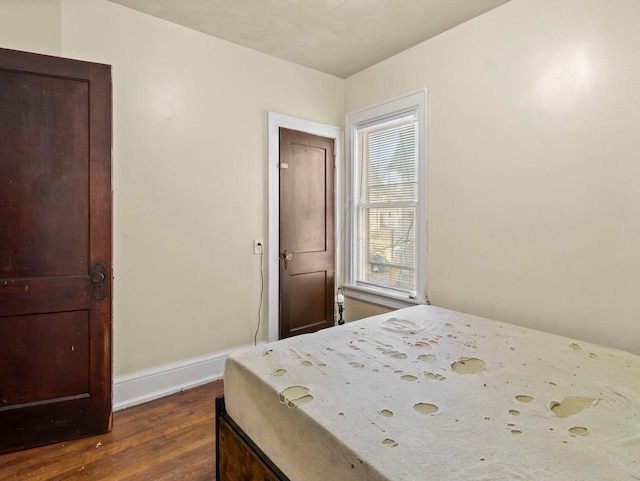 bedroom featuring multiple windows and dark hardwood / wood-style floors