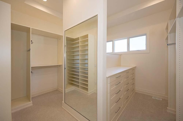 spacious closet with carpet flooring