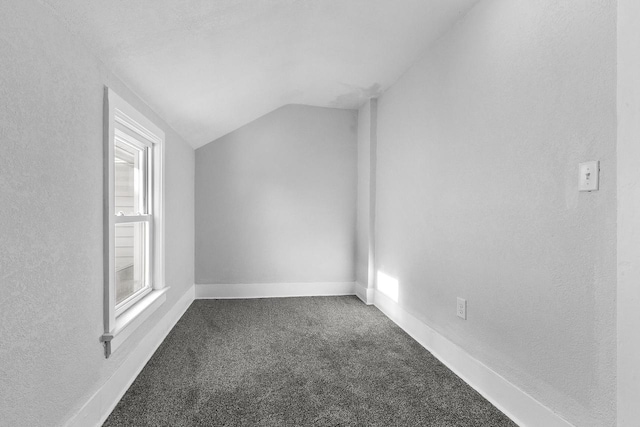 additional living space with lofted ceiling and carpet flooring