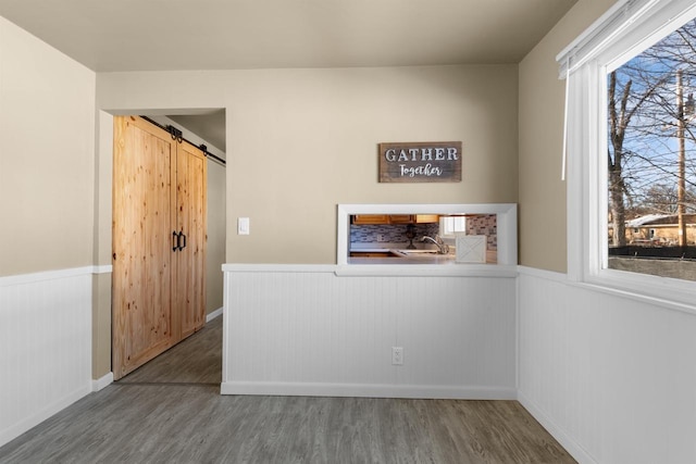 empty room with dark hardwood / wood-style floors, plenty of natural light, a barn door, and sink