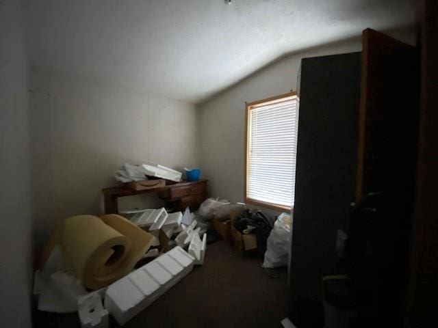 bedroom with vaulted ceiling