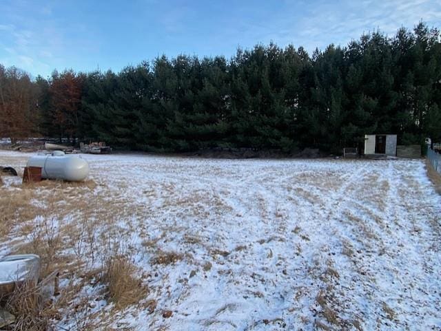 view of yard layered in snow