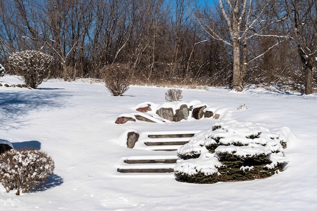 view of snowy yard