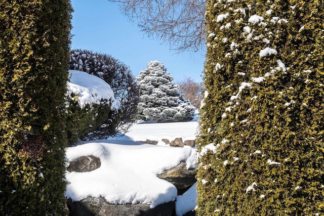 view of snowy landscape