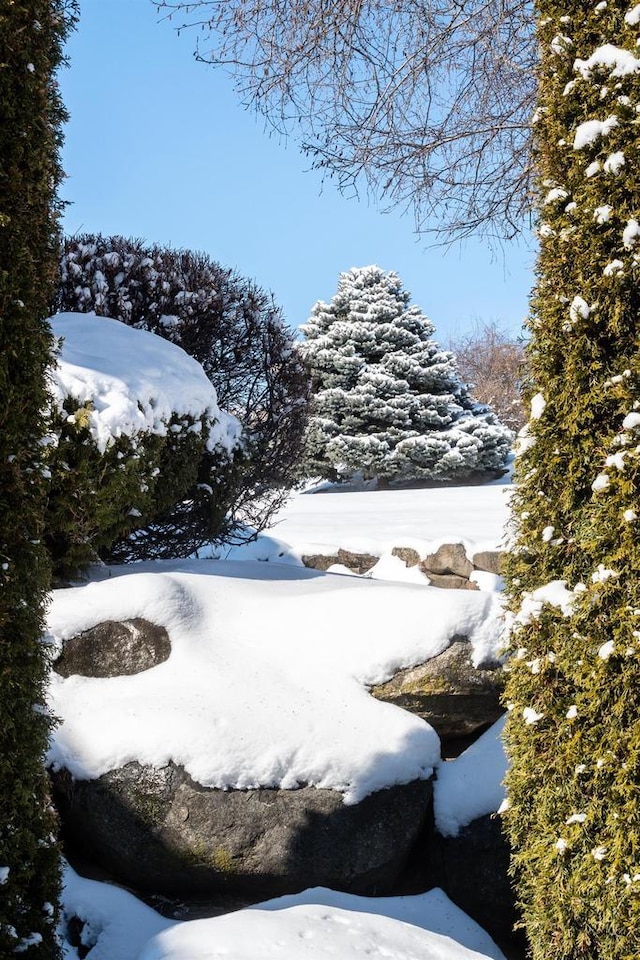 view of yard covered in snow