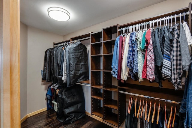 spacious closet featuring wood finished floors