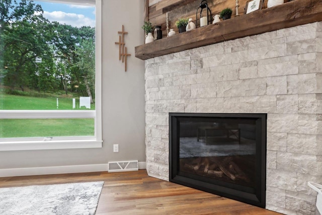 details with a stone fireplace and wood-type flooring