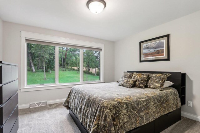 carpeted bedroom featuring multiple windows