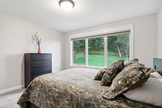 bedroom with carpet