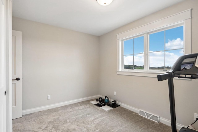 exercise room featuring carpet