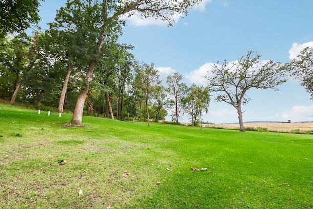 view of yard featuring a rural view