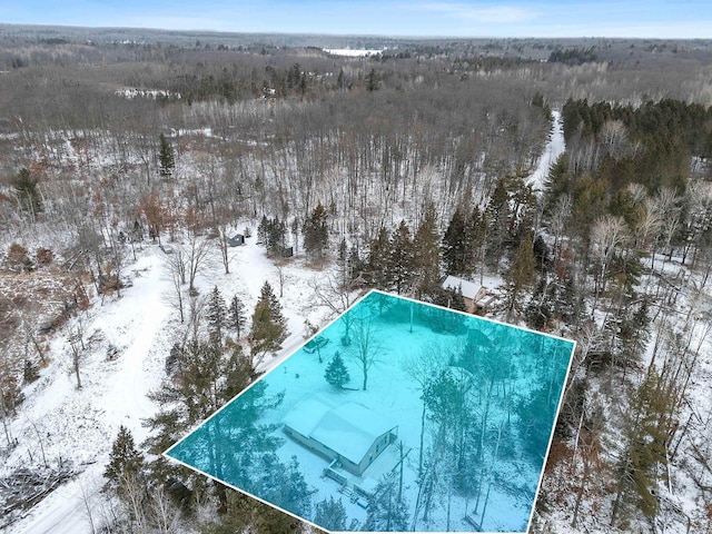 view of snowy aerial view