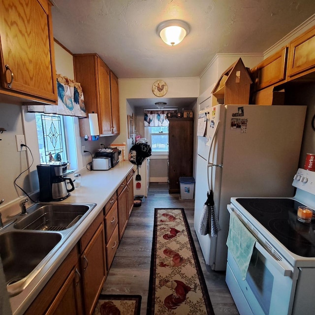 kitchen with white electric stove, ornamental molding, sink, and dark hardwood / wood-style flooring