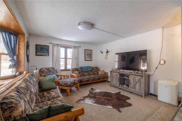 carpeted living room with a textured ceiling