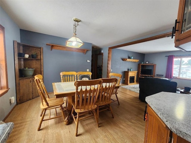 dining area featuring light hardwood / wood-style flooring